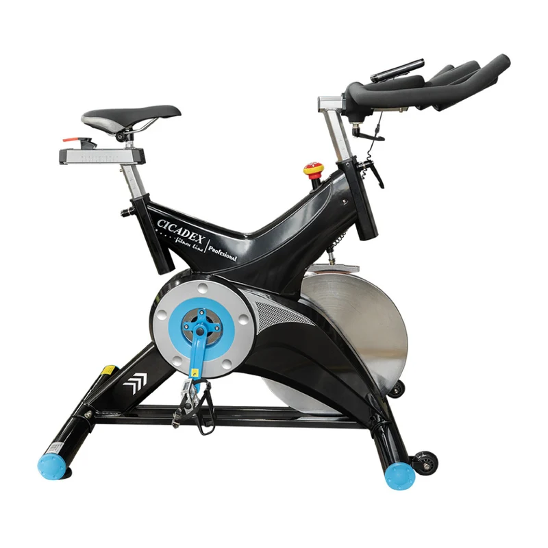 Cicadex Bicicleta Estacionaria Profesional con Disco Sólido de 22 Kg, CT-979