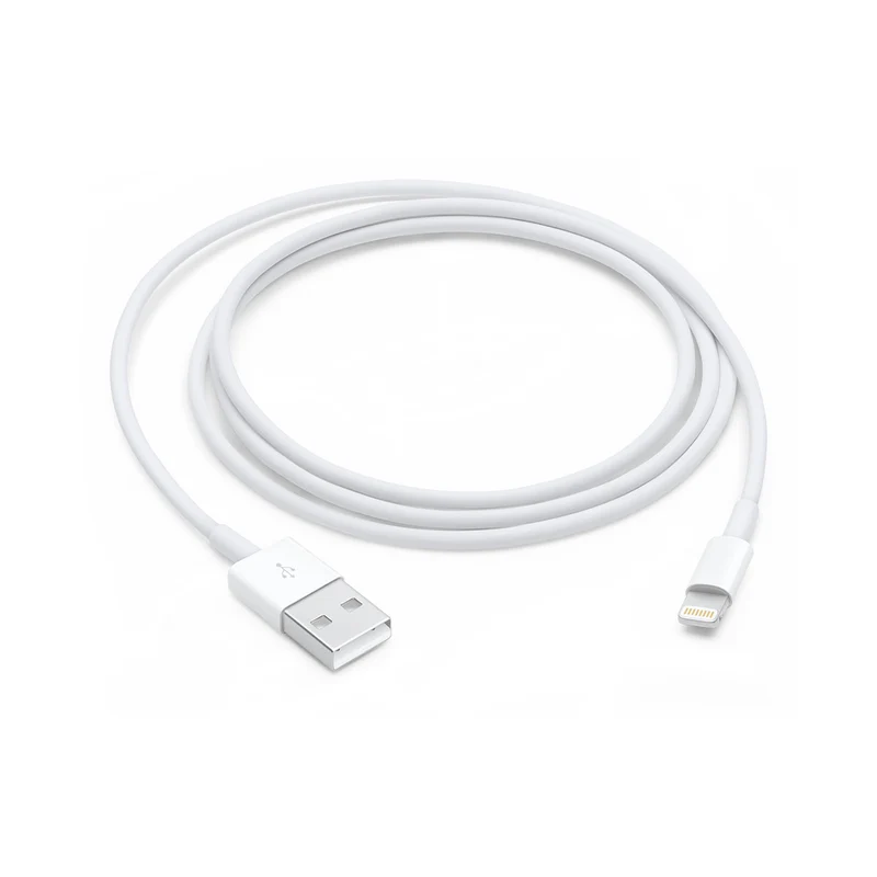 Câble Lightning vers USB (1 m)