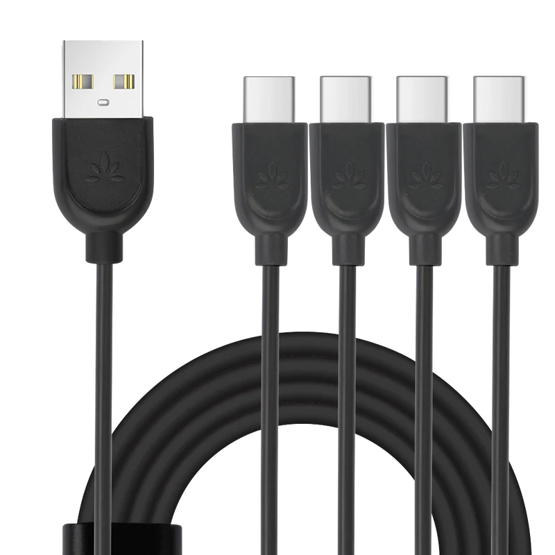 Multi charging cable for Quartet (Type C)