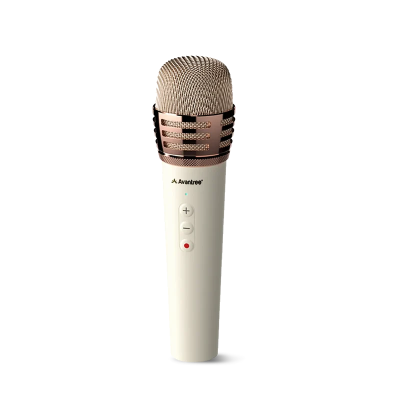Wireless Handheld Microphone