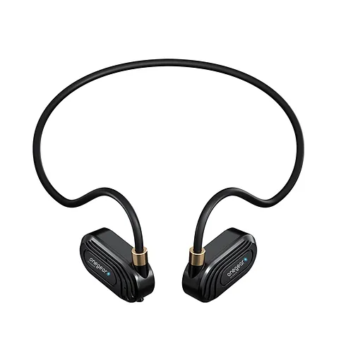 ACTION FUN EAR