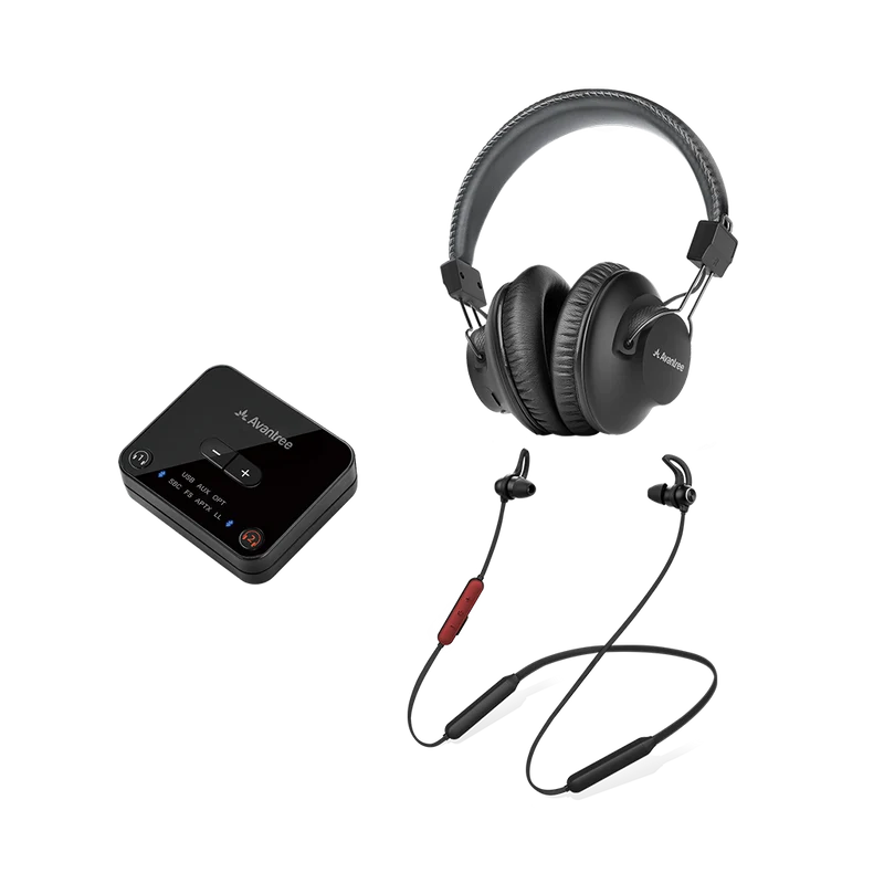 D4169 | Dual Wireless Headphones for TV