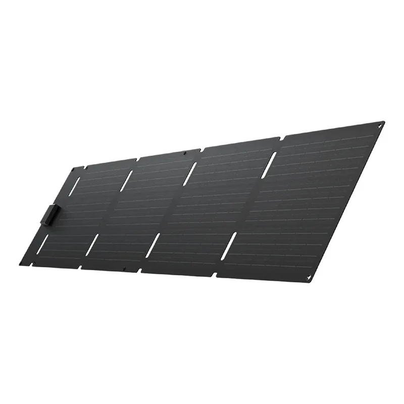 EcoFlow 60W Portable Solar Panel